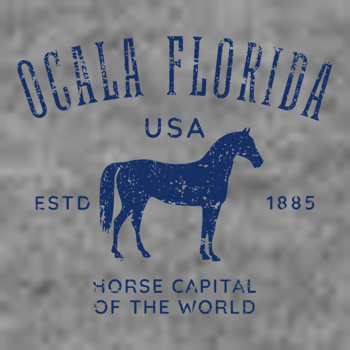 Ocala Florida Usa Horse Capital Distressed Equestrian Design Toddler Hoodie