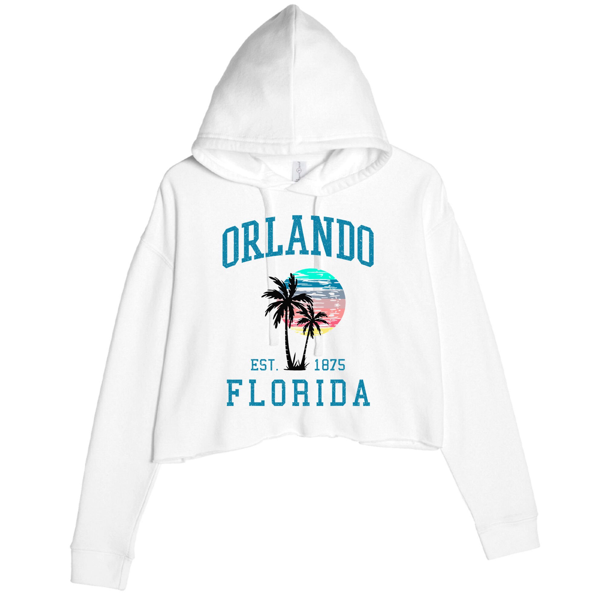 Orlando Florida Vintage Beach Palm Trees Summer In Orlando Crop Fleece Hoodie
