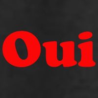 Oui French Yes Red Retro 90s 7 Panel Mesh Trucker Snapback Hat