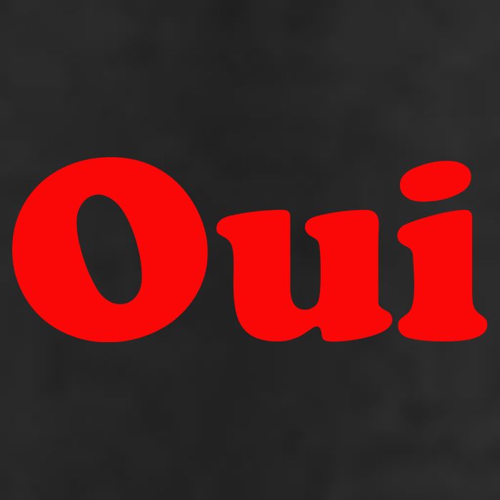 Oui French Yes Red Retro 90s 7 Panel Mesh Trucker Snapback Hat