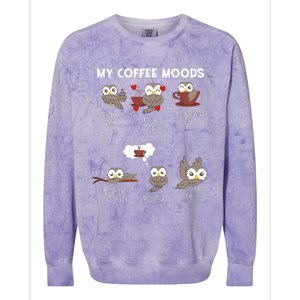 Owl Gift For Owl Lovers And Coffee Drinkers Colorblast Crewneck Sweatshirt