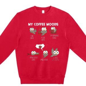 Owl Gift For Owl Lovers And Coffee Drinkers Premium Crewneck Sweatshirt