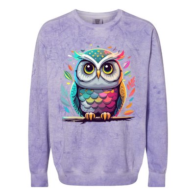 Owl Graphic Owl Artwork Bird Art Animal Owl Funny Gift Colorblast Crewneck Sweatshirt