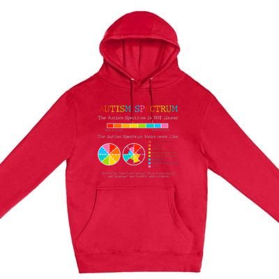 OT Gift Occupational Therapist Autism Awareness Teacher Gift Premium Pullover Hoodie