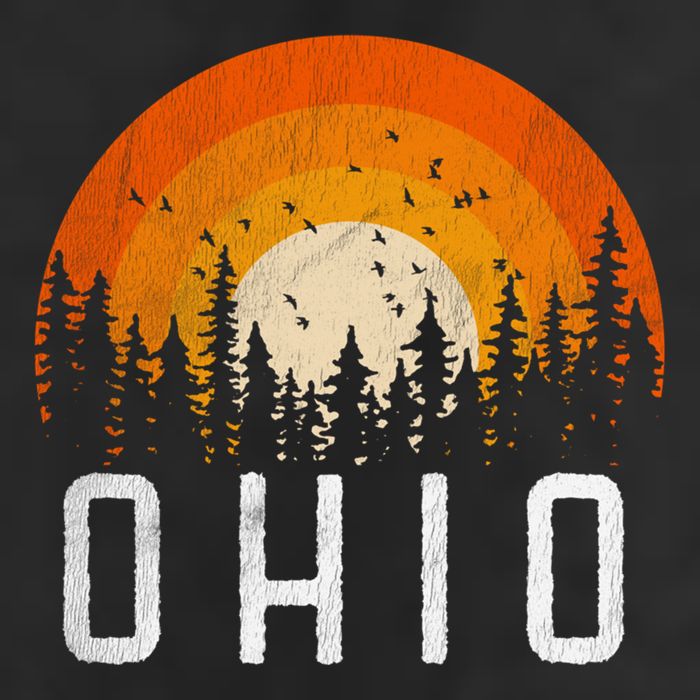 Ohio Gift Retro Style Vintage 70s 80s 90s Gift Hat