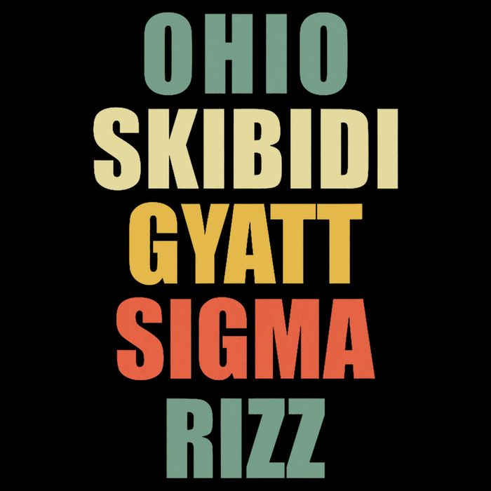 Ohio Gyatt Sigma Rizz T-Shirt