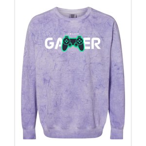 Online Gamer Video Games Funny Gamer Gift Colorblast Crewneck Sweatshirt