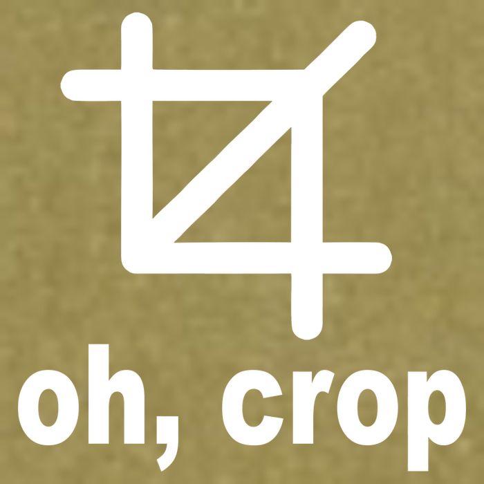 Oh Crop Math Geek Garment-Dyed Women's Muscle Tee