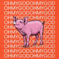 Oh My God Pig Womens T-Shirt