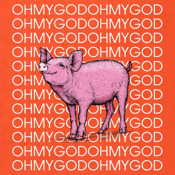 Oh My God Pig Womens T-Shirt