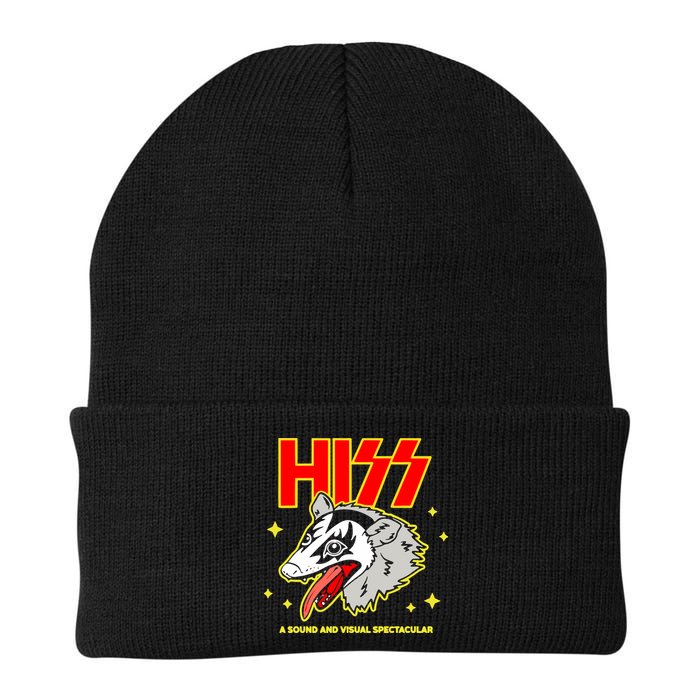Opossum Hiss A Sound And Visual Spectacular Beanie
