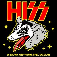 Opossum Hiss A Sound And Visual Spectacular Poster