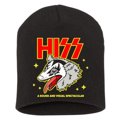 Opossum Hiss A Sound And Visual Spectacular Short Acrylic Beanie