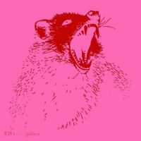 Opossum Hissing Black & Red Angry Possum Stripe Pom Pom Beanie