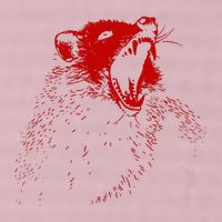 Opossum Hissing Black & Red Angry Possum 25L Jumbo Tote
