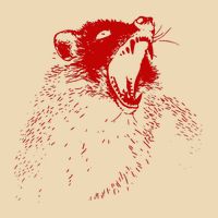 Opossum Hissing Black & Red Angry Possum Bag