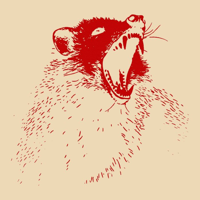 Opossum Hissing Black & Red Angry Possum Bag
