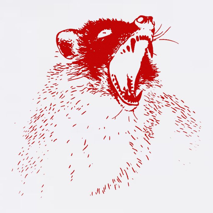 Opossum Hissing Black & Red Angry Possum Cooling Performance Crew T-Shirt