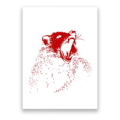 Opossum Hissing Black & Red Angry Possum Poster