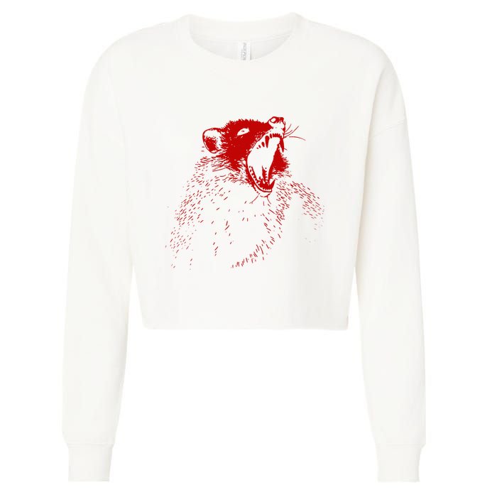 Opossum Hissing Black & Red Angry Possum Cropped Pullover Crew
