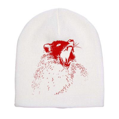 Opossum Hissing Black & Red Angry Possum Short Acrylic Beanie