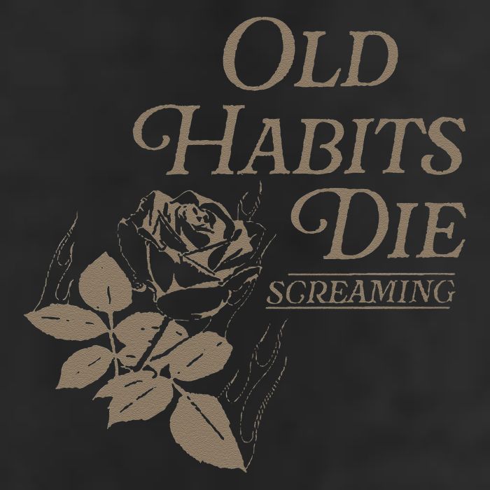 Old Habits Die Screaming Adult Drive Performance Visor