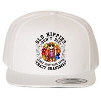 Old Hippies DonT Die Fade Into Crazy Grandmas Wool Snapback Cap