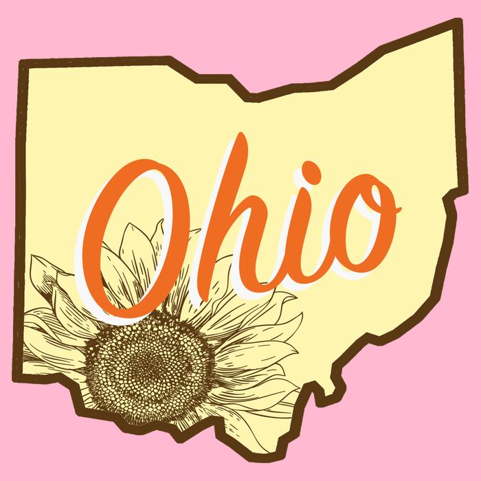 Ohio Floral Cute Flower Premium T-Shirt