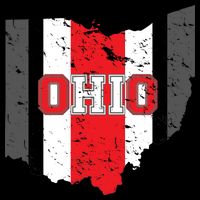 Ohio State Pride Striped 16 in Basic Backpack