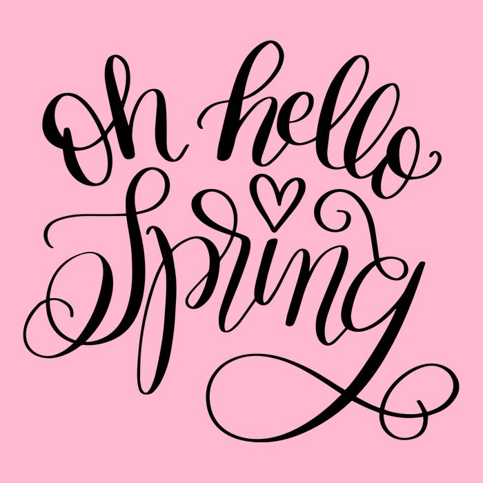 Oh Hello Spring Quote Womens T-Shirt