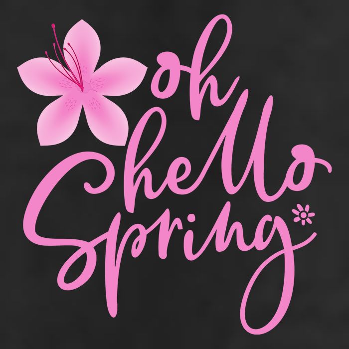 Oh Hello Spring Cute Garment-Dyed Heavyweight T-Shirt