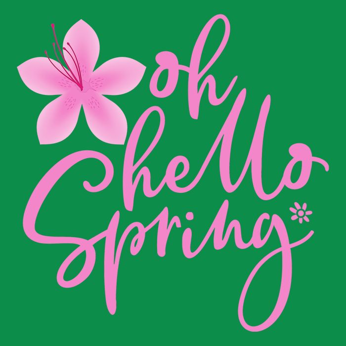 Oh Hello Spring Cute Mesh Reversible Basketball Jersey Tank