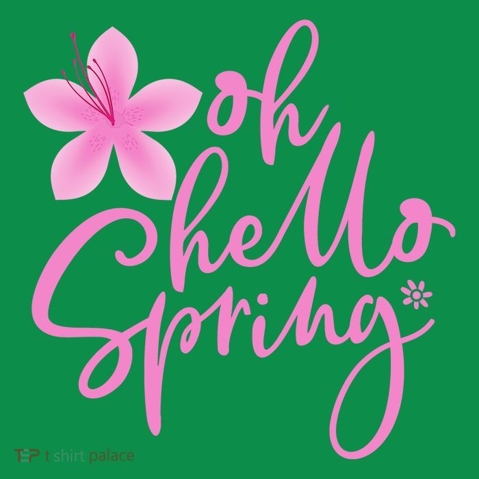 Oh Hello Spring Cute Toddler Hoodie