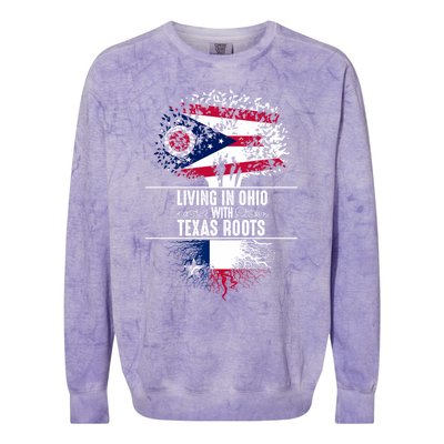 Ohio Home Texas Roots State Tree Flag Proud Love Gift Cool Gift Colorblast Crewneck Sweatshirt