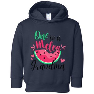 One In A Melon Grandma Summer Birthday Party Matching Toddler Hoodie