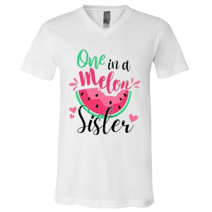 One in a Melon Sister Summer Birthday Party Matching Family V-Neck T-Shirt