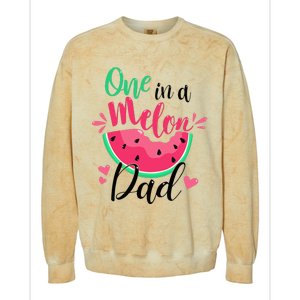 One In A Melon Dad Summer Birthday Party Matching Family Colorblast Crewneck Sweatshirt