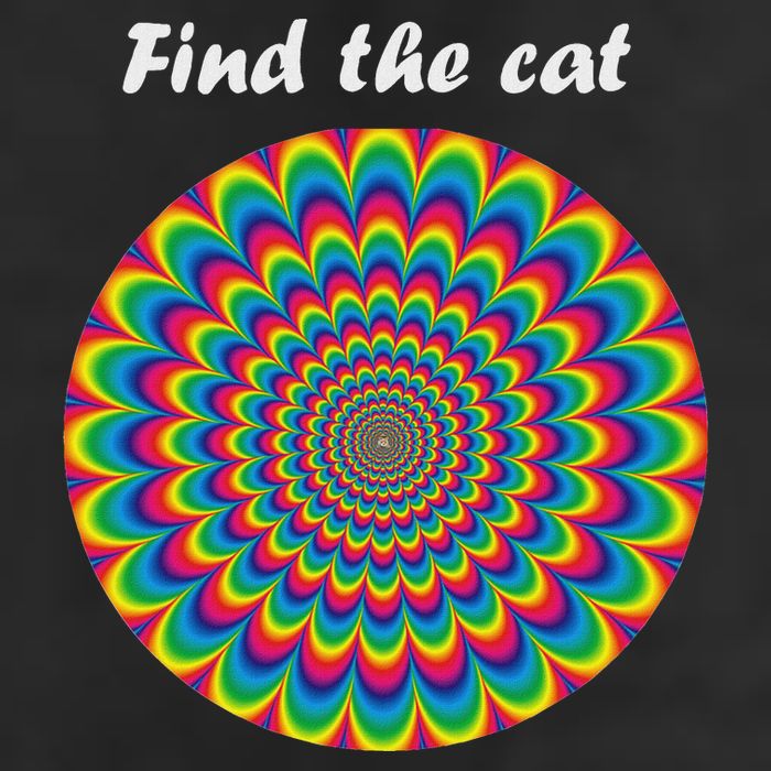 Optical Illusion Find The Cat 15oz Campfire Ceramic Mug
