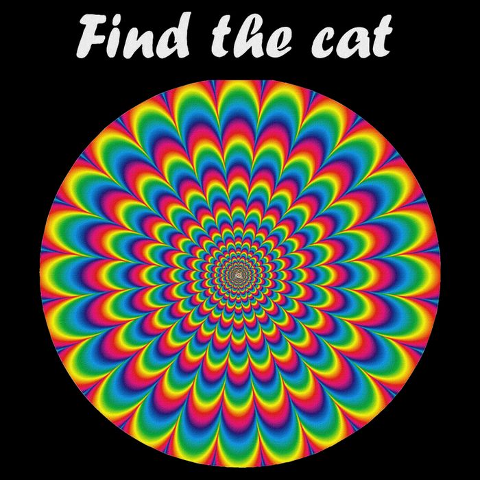 Optical Illusion Find The Cat Poster