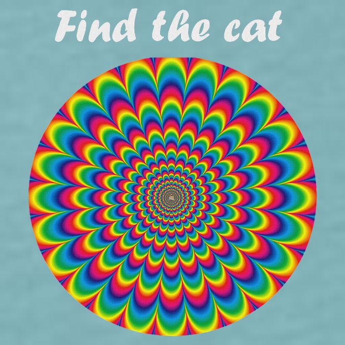 Optical Illusion Find The Cat Sueded Cloud Jersey T-Shirt