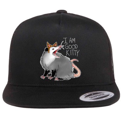 Opossum I Funny Possum I Am A Good Kitty Flat Bill Trucker Hat
