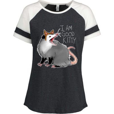 Opossum I Funny Possum I Am A Good Kitty Enza Ladies Jersey Colorblock Tee