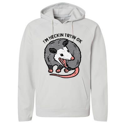 Opossum Im Heckin Tryin Ok Possum S.T.R.E.E.T Cat Performance Fleece Hoodie