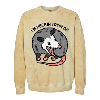 Opossum Im Heckin Tryin Ok Possum S.T.R.E.E.T Cat Colorblast Crewneck Sweatshirt