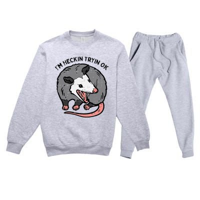 Opossum Im Heckin Tryin Ok Possum S.T.R.E.E.T Cat Premium Crewneck Sweatsuit Set