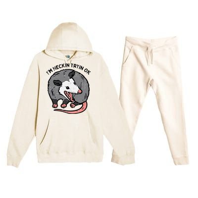 Opossum Im Heckin Tryin Ok Possum S.T.R.E.E.T Cat Premium Hooded Sweatsuit Set