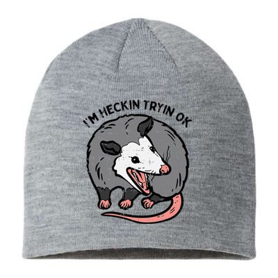 Opossum Im Heckin Tryin Ok Possum S.T.R.E.E.T Cat Sustainable Beanie