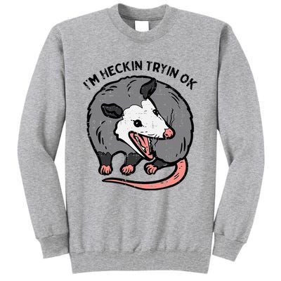 Opossum Im Heckin Tryin Ok Possum S.T.R.E.E.T Cat Tall Sweatshirt