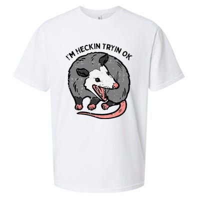 Opossum Im Heckin Tryin Ok Possum S.T.R.E.E.T Cat Sueded Cloud Jersey T-Shirt