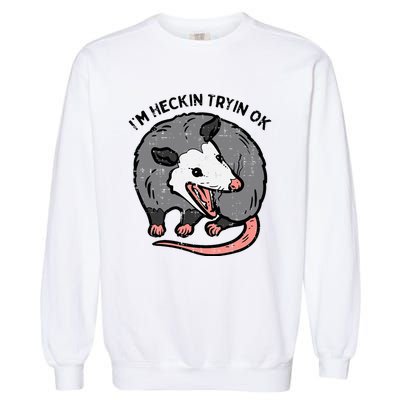 Opossum Im Heckin Tryin Ok Possum S.T.R.E.E.T Cat Garment-Dyed Sweatshirt